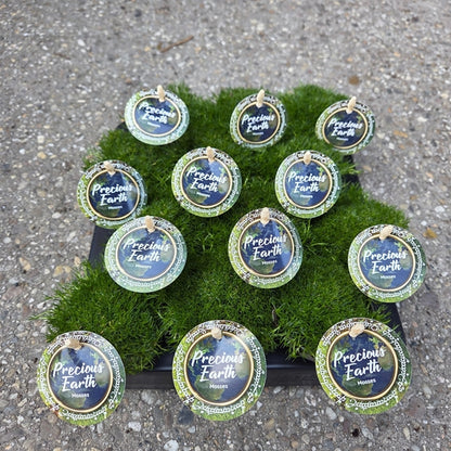 Sagina Mossy Frodo (Darkgreen) 7Ø 10cm