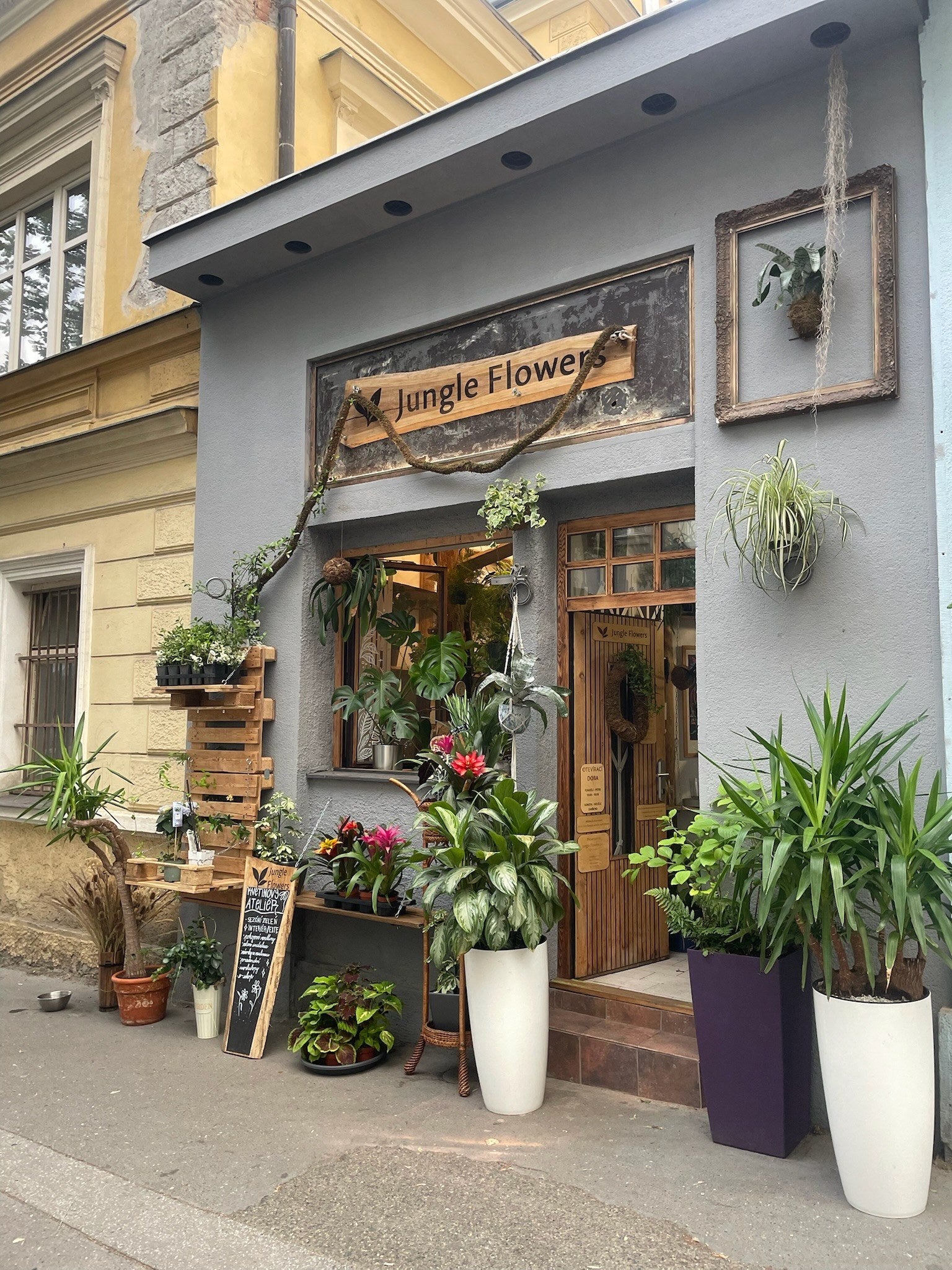 Prodejna Jungle Flowers v Americké ulici ve Vršovicích