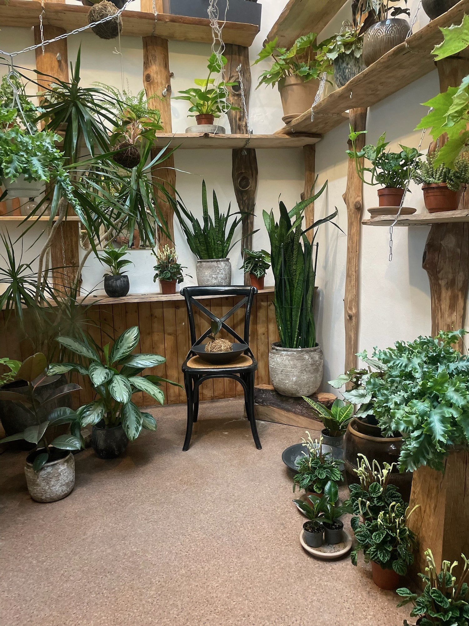 Interiér hlavního showroomu Jungle Flowers na Americké
