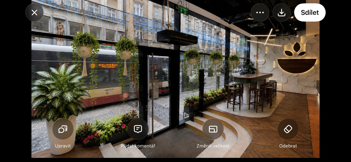 Vizualizace návrhu rostlinné instalace Jungle Flowers